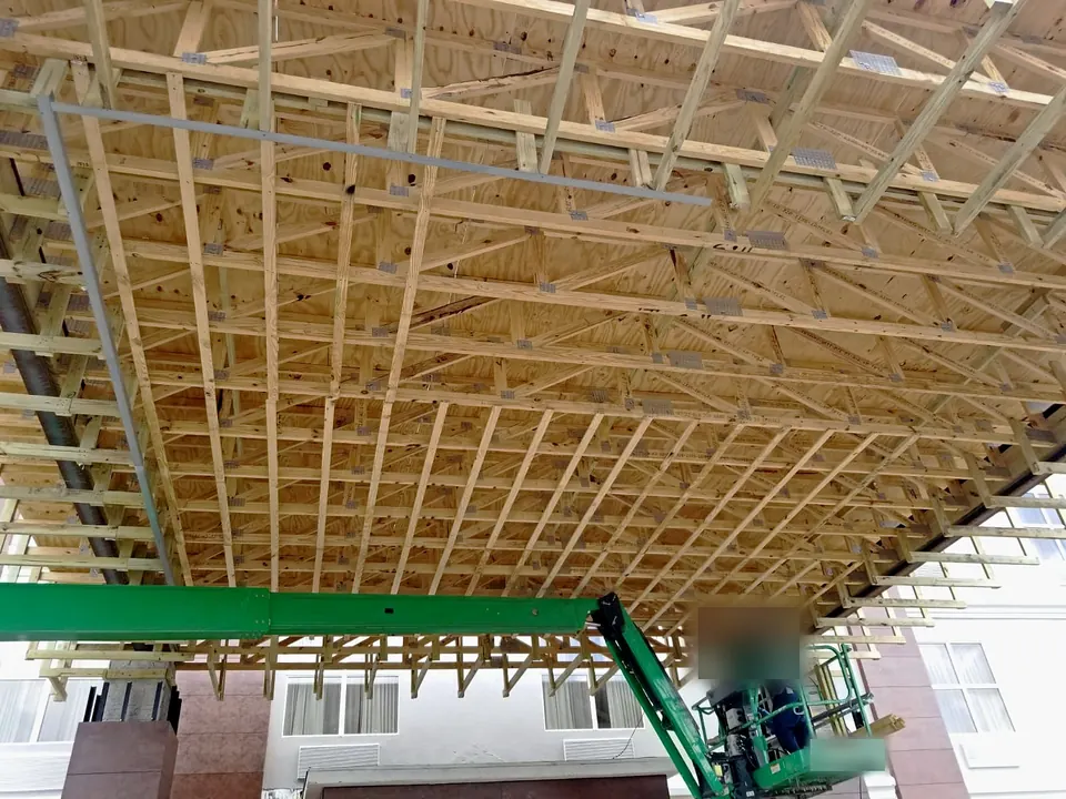 Underside of the canopy truss framing